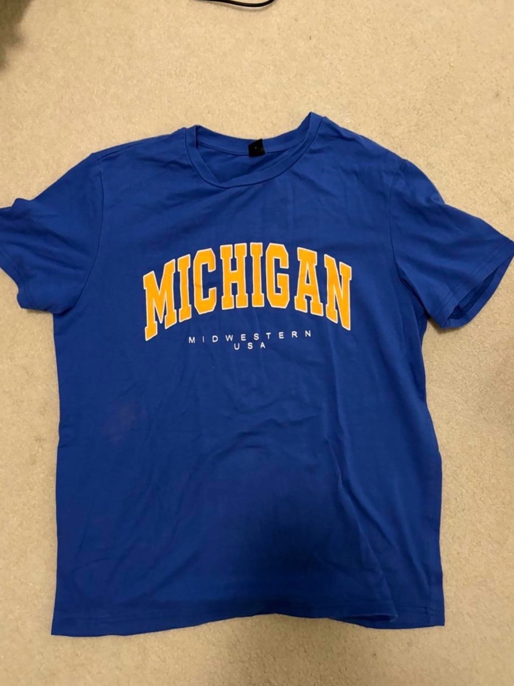 Michigan Graphic Tee - Blue